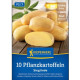 Sadbové brambory Sieglinde - Solanum tuberosum - sadba brambor - 10 ks