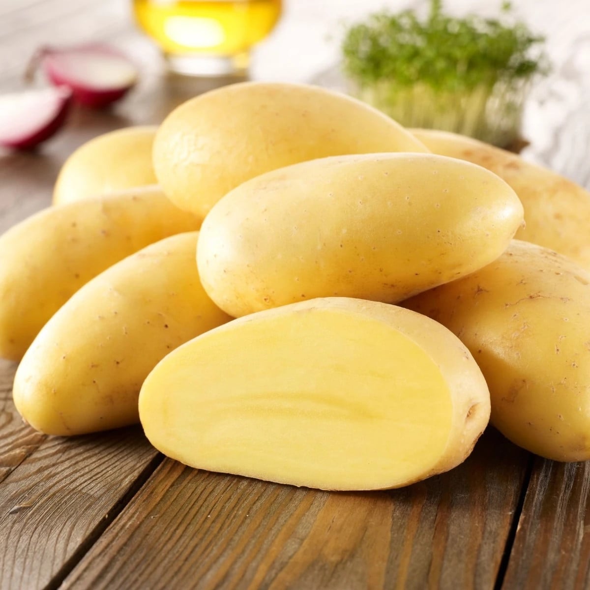 Sadbové brambory Cilena - Solanum tuberosum - prodej sadby - 10 ks