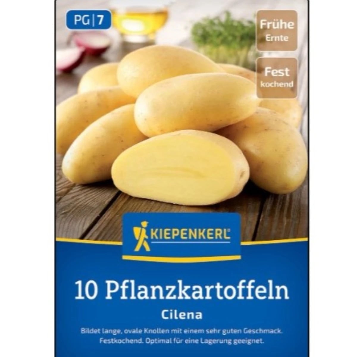 Sadbové brambory Cilena - Solanum tuberosum - prodej sadby - 10 ks