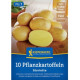 Sadbové brambory Glorietta - Solanum tuberosum - prodej sadby - 10 ks