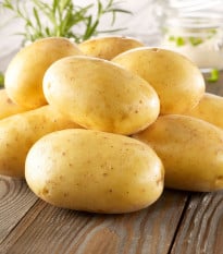 Sadbové brambory Bernina - Solanum tuberosum - prodej sadby - 10 ks