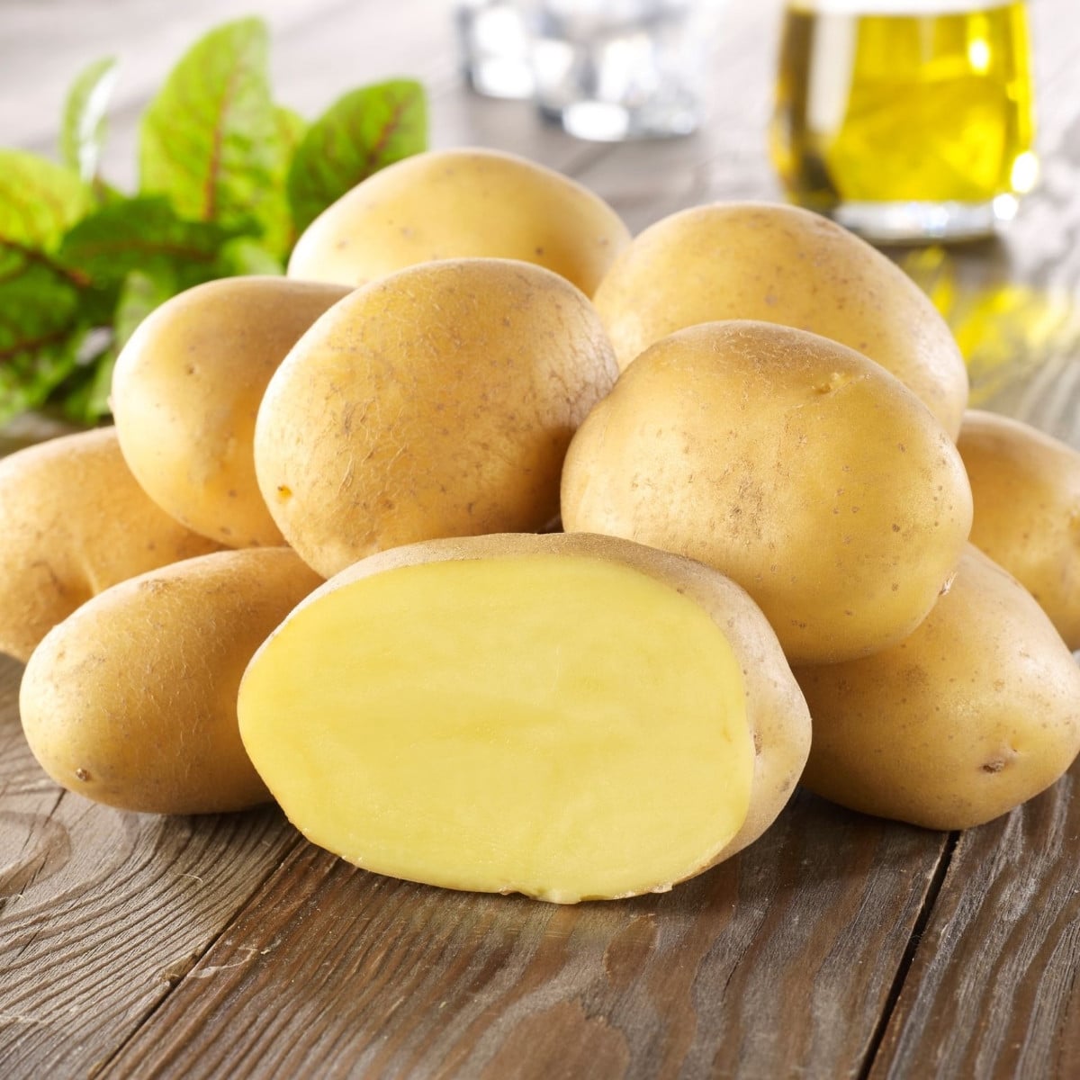 Sadbové brambory Linda - Solanum tuberosum - prodej sadby - 10 ks