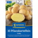 Sadbové brambory Linda - Solanum tuberosum - prodej sadby - 10 ks
