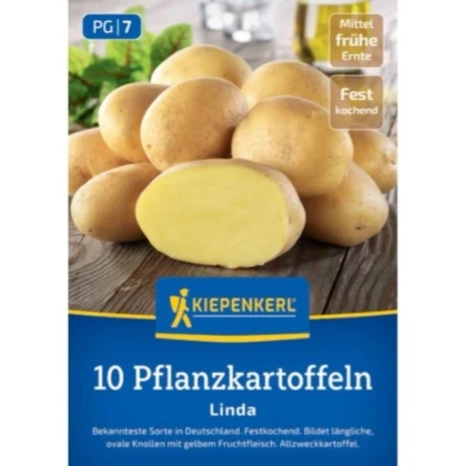 Sadbové brambory Linda - Solanum tuberosum - prodej sadby - 10 ks