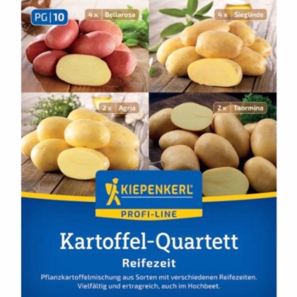 Sadbové brambory - 4 druhy - doba zrání - Solanum tuberosum - prodej sadby - 12 ks