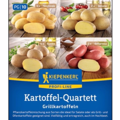 Sadbové brambory - 4 druhy - grilovací - Solanum tuberosum - prodej sadby - 12 ks