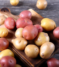 BIO sadbové brambory - 4 druhy - směs odrůd - Solanum tuberosum - prodej bio sadby - 12 ks