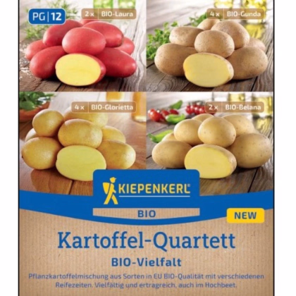 BIO sadbové brambory - 4 druhy - směs odrůd - Solanum tuberosum - prodej bio sadby - 12 ks