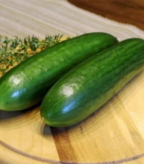 Mini okurka salátová La Diva - Cucumis sativus - prodej semen - 8 ks