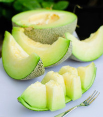 Meloun Tenor F1 - Cucumis melo - prodej semen - 6 ks