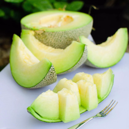 Meloun Tenor F1 - Cucumis melo - prodej semen - 6 ks