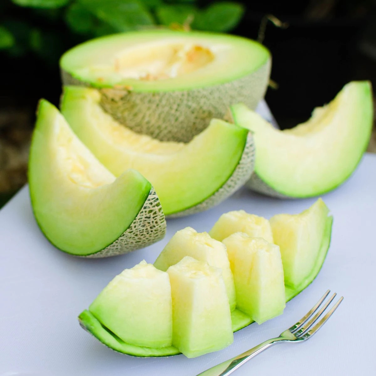 Meloun Tenor F1 - Cucumis melo - prodej semen - 6 ks