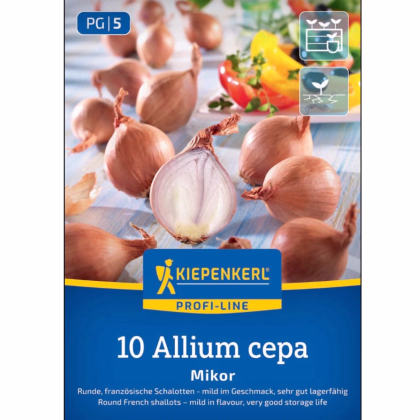 Cibule šalotka Mikor - Allium cepa - prodej cibulek - 10 ks