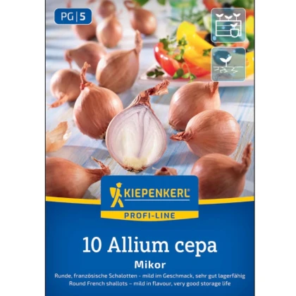 Cibule šalotka Mikor - Allium cepa - prodej cibulek - 10 ks