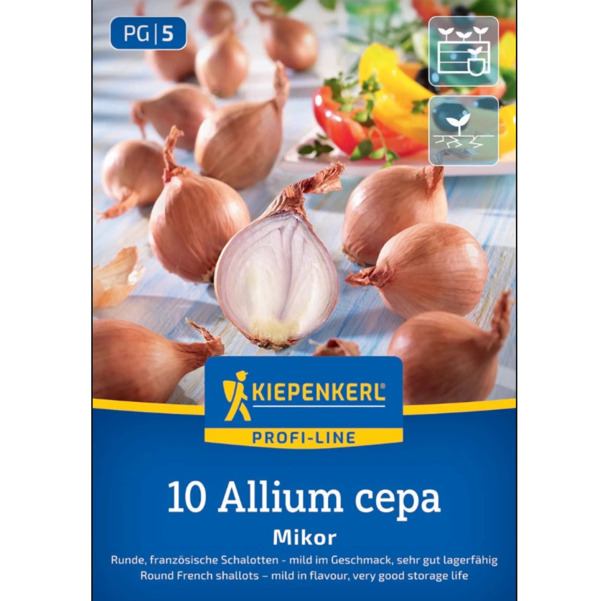 Cibule šalotka Mikor - Allium cepa - prodej cibulek - 10 ks