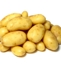 Sadbové brambory Camelia - Solanum tuberosum - prodej sadby - 5 kg
