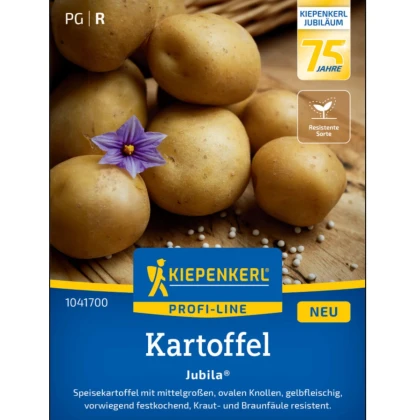 Brambory Jubila F1 - Solanum tuberosum - prodej semen - 1 ks