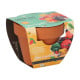 Buzzy Grow Gifts - Mini sada pro pěstování chilli papriky - Pieterpik - prodej sad - 1 ks