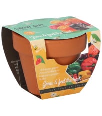 Buzzy Grow Gifts - Mini sada pro pěstování chilli papriky - Pieterpik - prodej sad - 1 ks