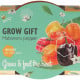 Buzzy Grow Gifts - Mini sada pro pěstování chilli papriky - Pieterpik - prodej sad - 1 ks