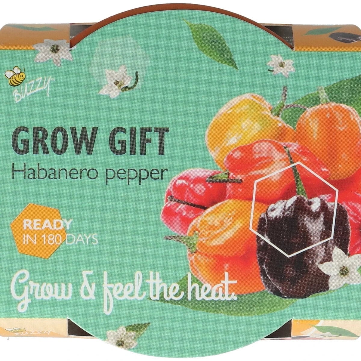 Buzzy Grow Gifts - Mini sada pro pěstování chilli papriky - Pieterpik - prodej sad - 1 ks