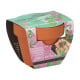 Buzzy Grow Gifts - Mini sada pro pěstování citlivky - Pieterpik - prodej sad - 1 ks