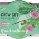 Buzzy Grow Gifts - Mini sada pro pěstování citlivky - Pieterpik - prodej sad - 1 ks
