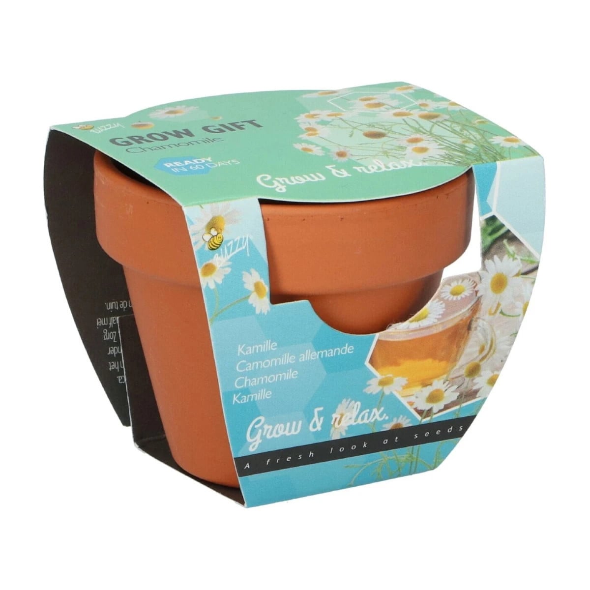 Buzzy Grow Gifts - Mini sada pro pěstování heřmánku - Pieterpik - prodej sad - 1 ks