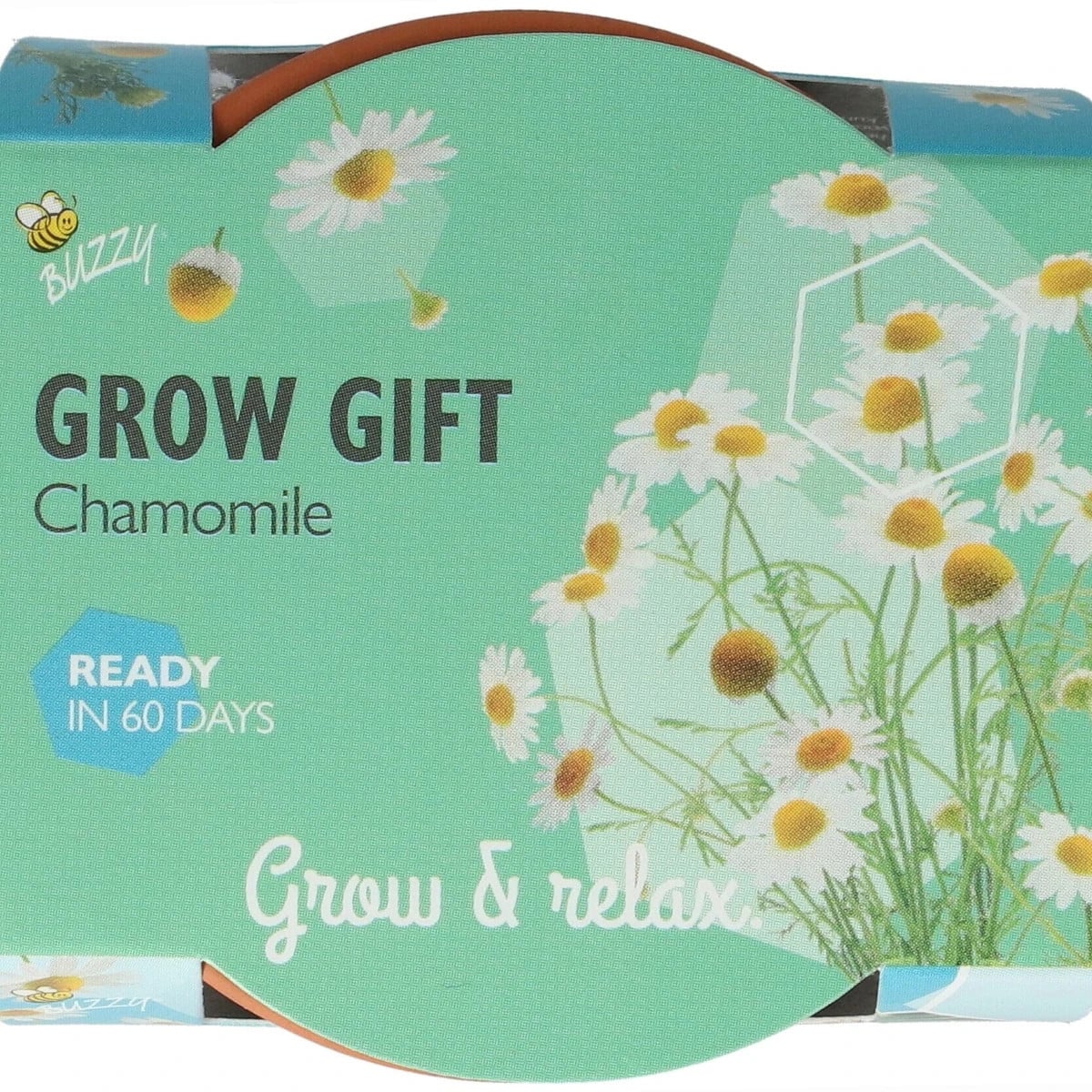 Buzzy Grow Gifts - Mini sada pro pěstování heřmánku - Pieterpik - prodej sad - 1 ks