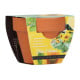 Buzzy Grow Gifts - Mini sada pro pěstování slunečnice - Pieterpik - prodej sad - 1 ks