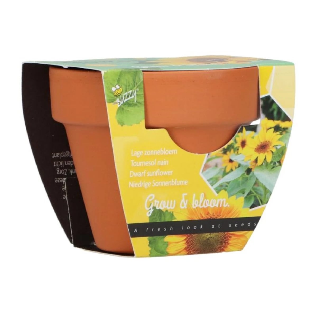Buzzy Grow Gifts - Mini sada pro pěstování slunečnice - Pieterpik - prodej sad - 1 ks