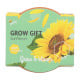 Buzzy Grow Gifts - Mini sada pro pěstování slunečnice - Pieterpik - prodej sad - 1 ks