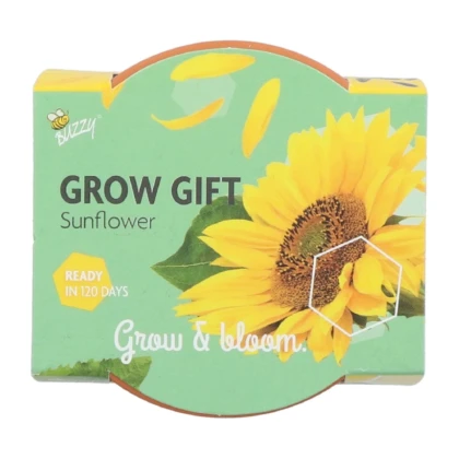 Buzzy Grow Gifts - Mini sada pro pěstování slunečnice - Pieterpik - prodej sad - 1 ks