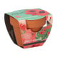 Buzzy Grow Gifts - Mini sada pro pěstování máku - Pieterpik - prodej sad - 1 ks