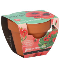 Buzzy Grow Gifts - Mini sada pro pěstování máku - Pieterpik - prodej sad - 1 ks