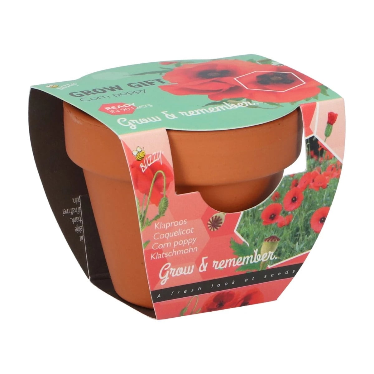 Buzzy Grow Gifts - Mini sada pro pěstování máku - Pieterpik - prodej sad - 1 ks