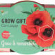Buzzy Grow Gifts - Mini sada pro pěstování máku - Pieterpik - prodej sad - 1 ks
