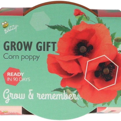 Buzzy Grow Gifts - Mini sada pro pěstování máku - Pieterpik - prodej sad - 1 ks