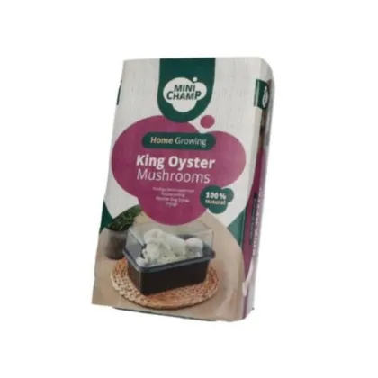 Mini Champ - sada pro domácí pěstování hlívy královské - Pleurotus eryngii - sadba - prodej - 1 ks