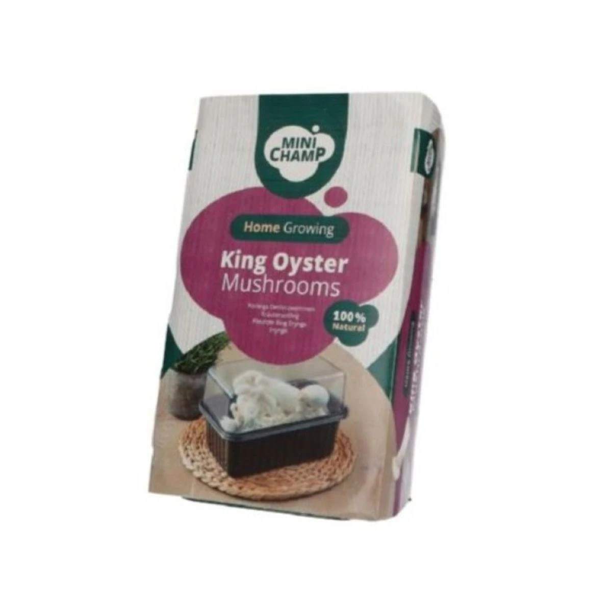Mini Champ - sada pro domácí pěstování hlívy královské - Pleurotus eryngii - sadba - prodej - 1 ks