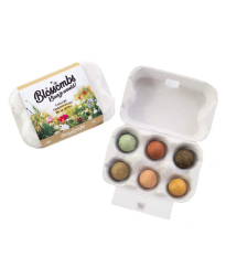 Semínkové bomby - dárkový box na vajíčka - Blossombs - prodej semínkových bomb - 1 ks