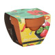 Buzzy Grow Gifts - Mini sada pro pěstování papriky - Pieterpik - prodej sad - 1 ks