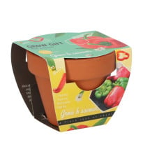 Buzzy Grow Gifts - Mini sada pro pěstování papriky - Pieterpik - prodej sad - 1 ks