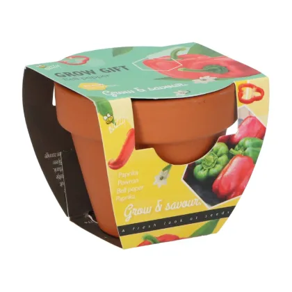 Buzzy Grow Gifts - Mini sada pro pěstování papriky - Pieterpik - prodej sad - 1 ks