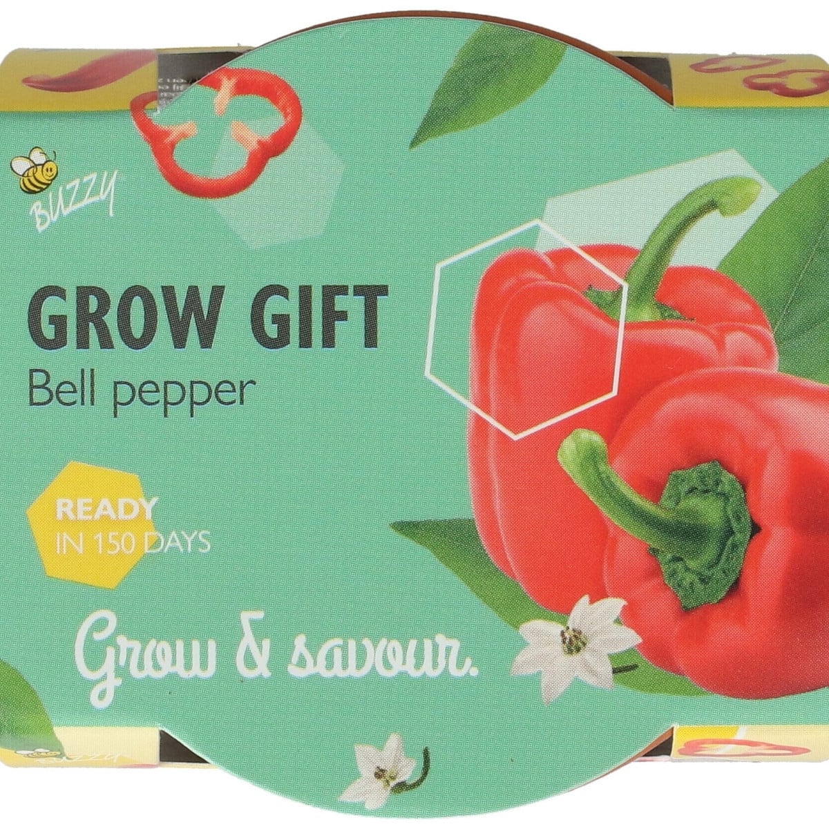 Buzzy Grow Gifts - Mini sada pro pěstování papriky - Pieterpik - prodej sad - 1 ks