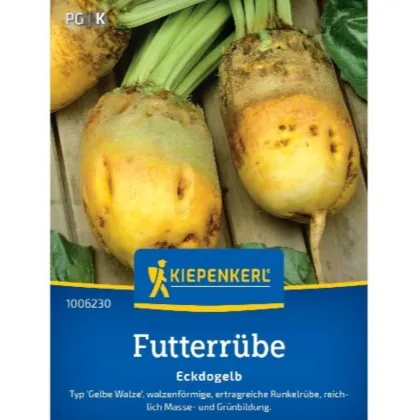 Zelené hnojení - Krmná řepa Eckdogelb - prodej semen - 15 g - 1 ks
