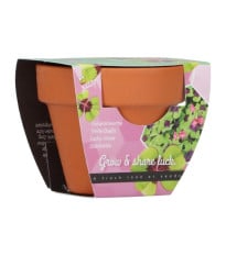 Kopie Buzzy Grow Gifts - Mini sada pro pěstování čtyřlístku - Pieterpik - prodej sad - 1 ks