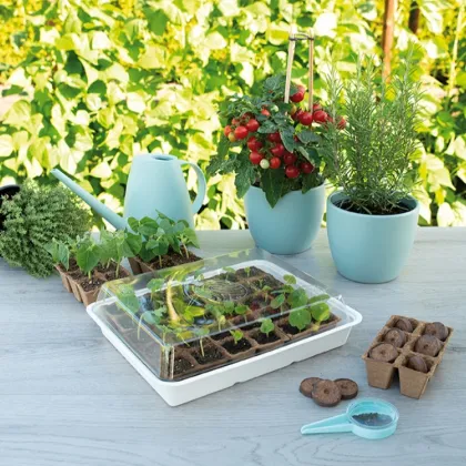 Minipařeniště se sadbovačem SOGO - 8,5 x 32,5 x 26 cm - prodej pařenišť - 1 ks