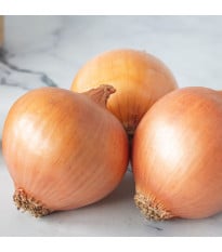 Cibule ozimá Augusta - Allium cepa - prodej semen - 250 ks