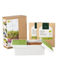 Startovací sada BIO microgreen - Heimgart - sada včetně 2 plátů - prodej bio semen na klíčení - 1 ks
